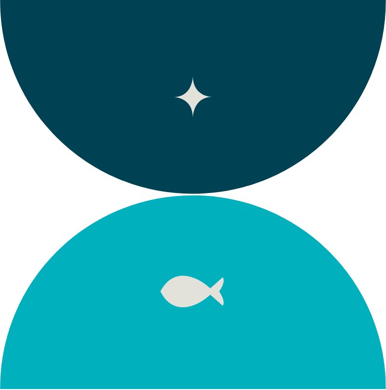 DEEPBLUEX2
